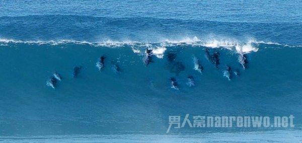 内蒙古科技“突围”工程促传统产业升级